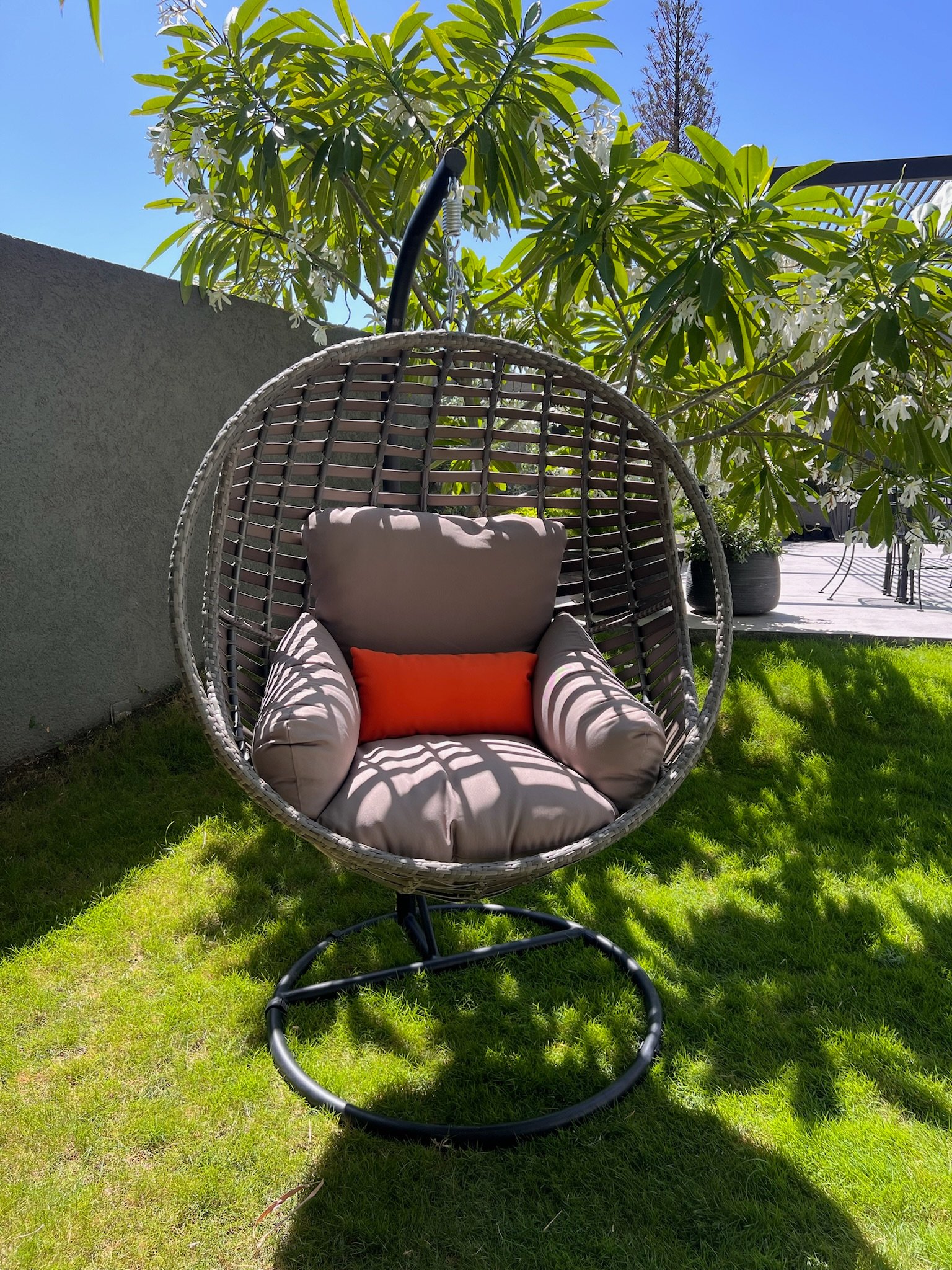 Charlotte Swing Chair